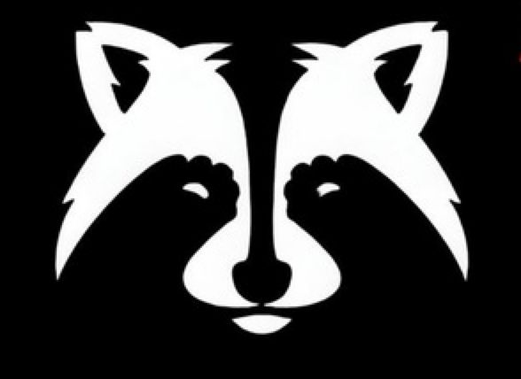 Abonnement Racoon TV