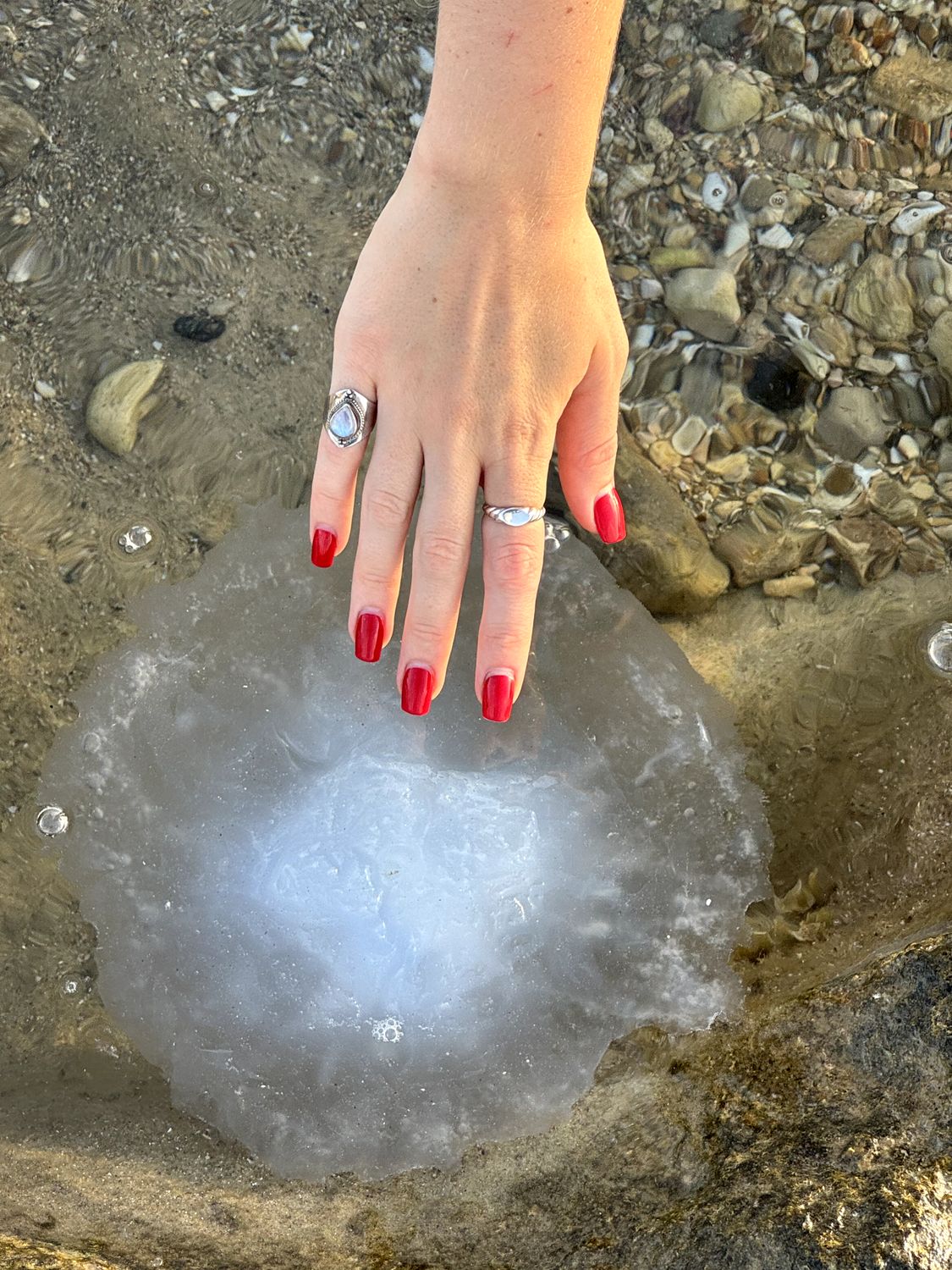 Moon stone one piece,אליפסה חבל