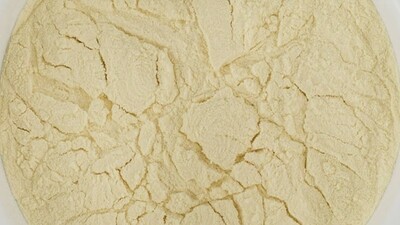 Spraymalt (Dried Malt Extract)