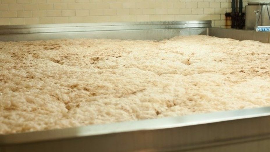 WHC 500g Dry Yeast Packs