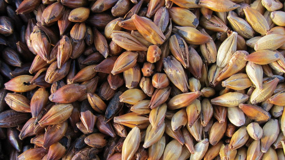 Grain Recipe Made to Order