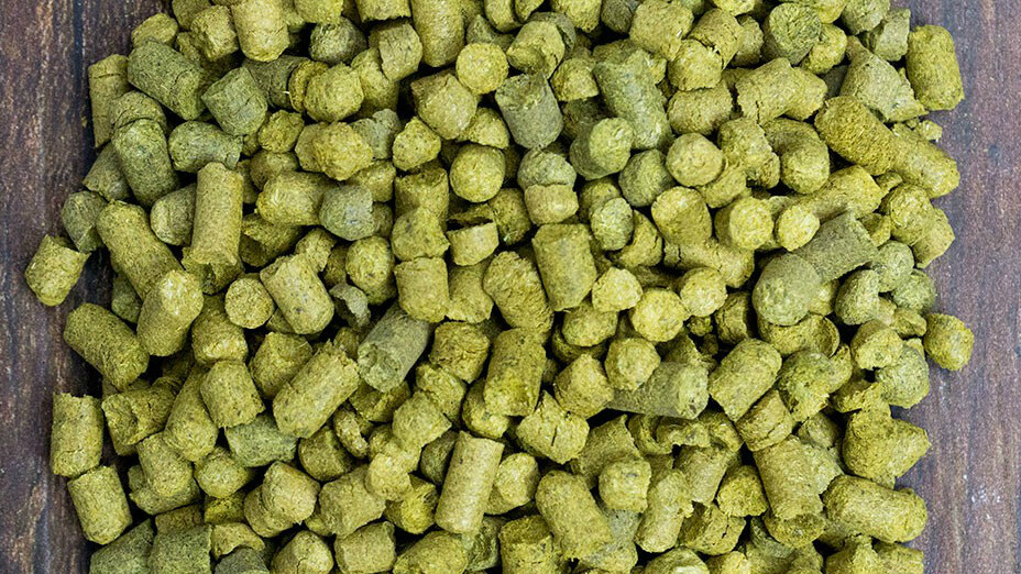 Hop Pellets 25g to 100g