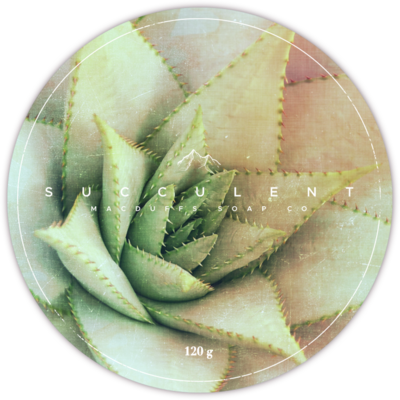 SUCCULENT SHAVE SOAP (SUMMER SEASONAL) SUCCULENT SHAVE SOAP (SUMMER SEASONAL)