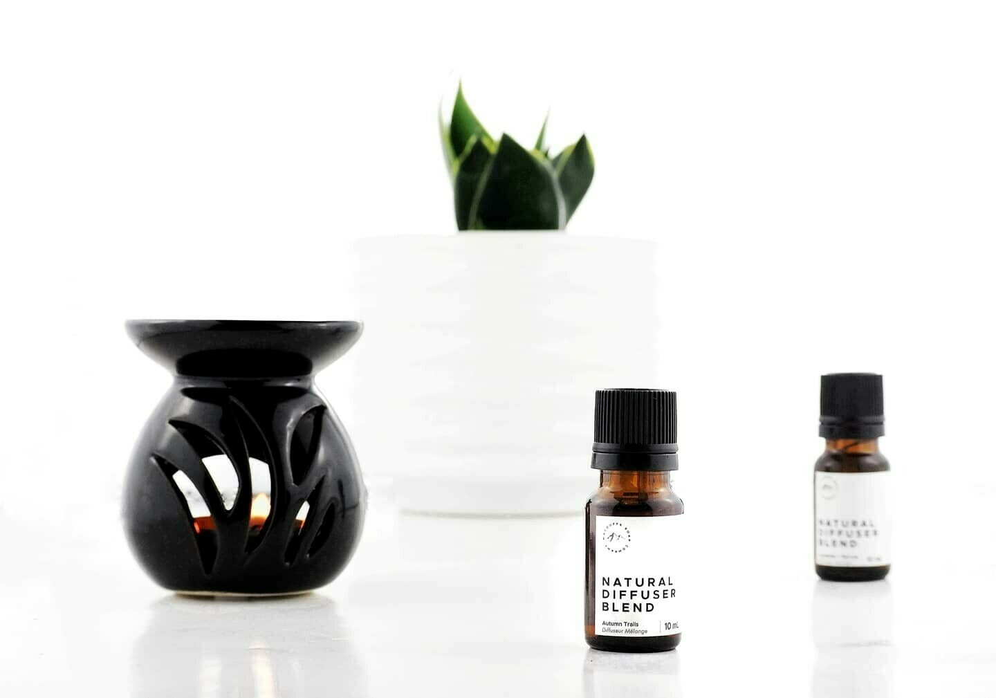 Custom Diffuser Blend Custom Diffuser Blend