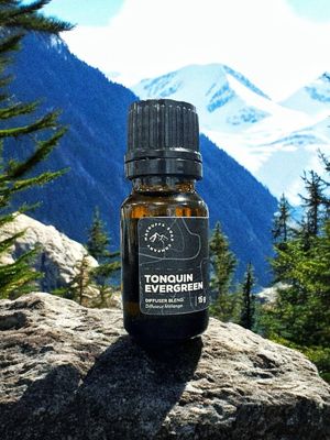 TONQUIN EVERGREEN DIFFUSER BLEND