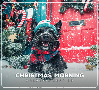 CHRISTMAS MORNING AFTERSHAVE SPLASH