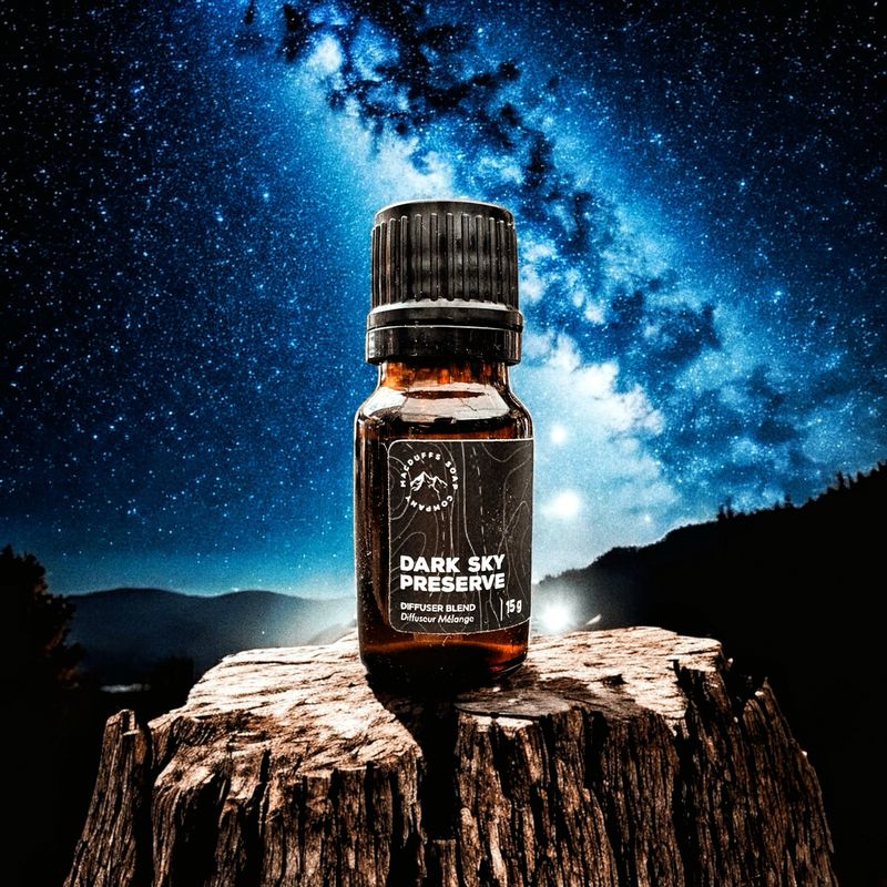 DARK SKY PRESERVE DIFFUSER BLEND
