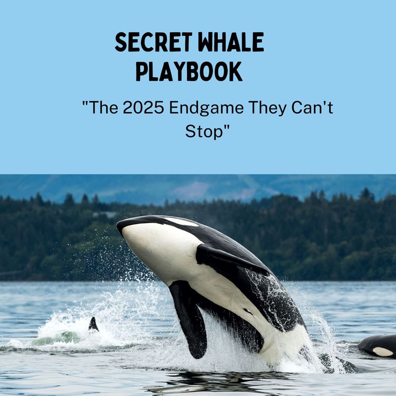 SECRET WHALE PLAYBOOK