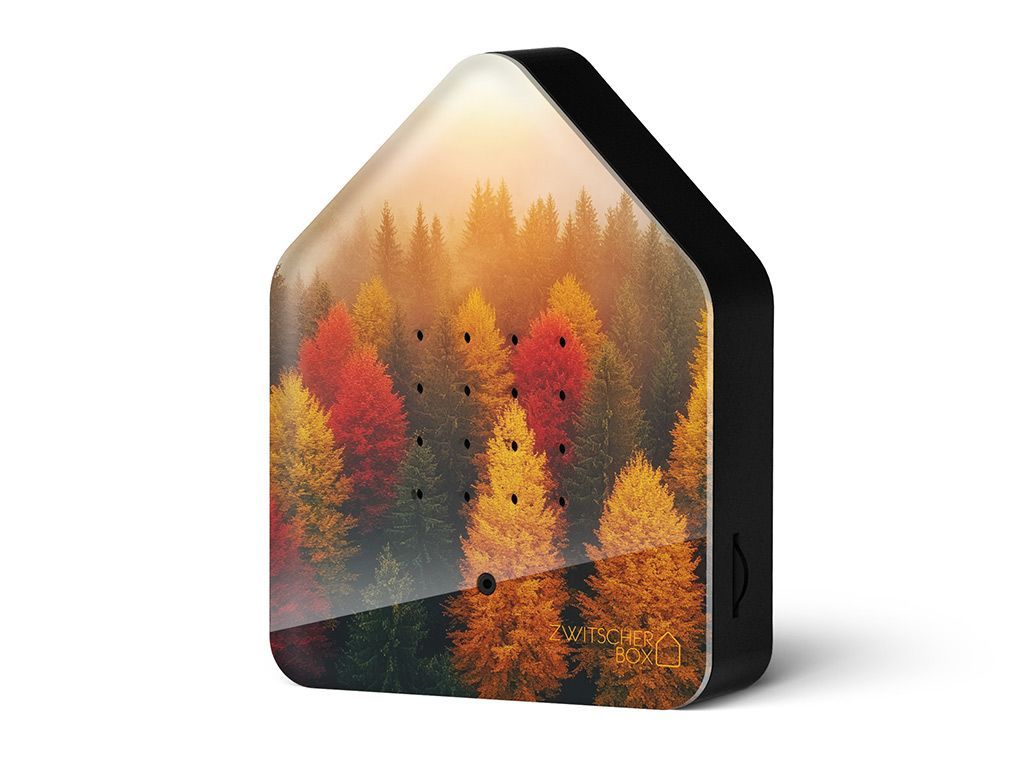 Boite musicale "oiseaux" Relaxound - décor Feuilles d'or