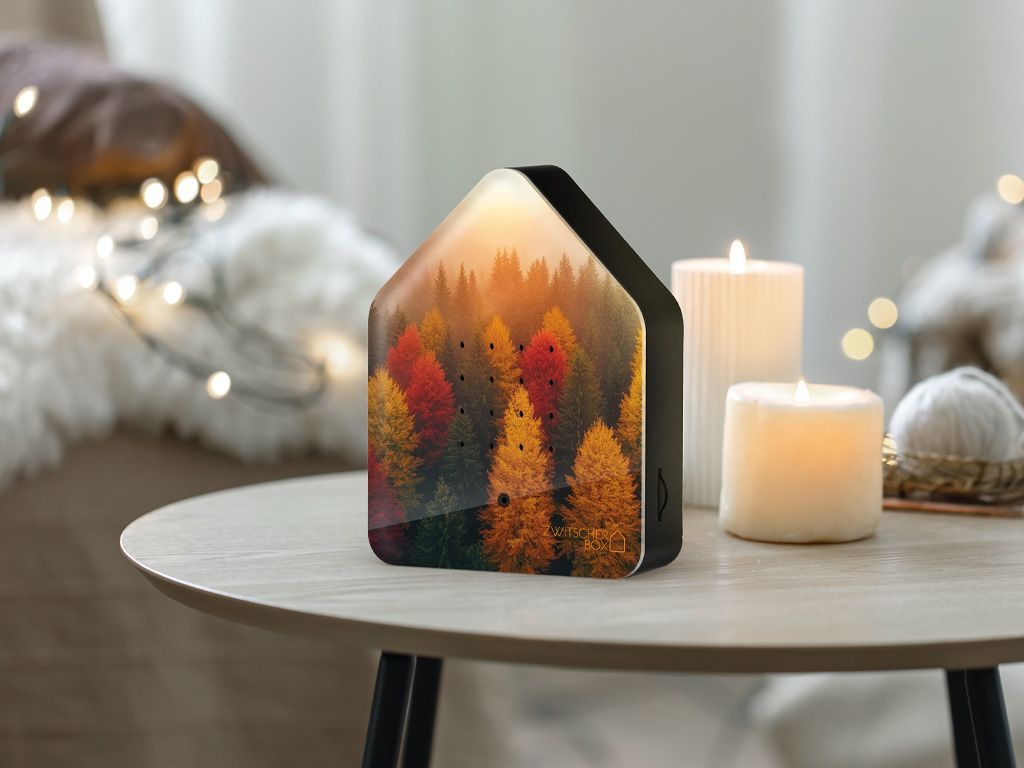 Boite musicale "oiseaux" Relaxound - décor Feuilles d'or