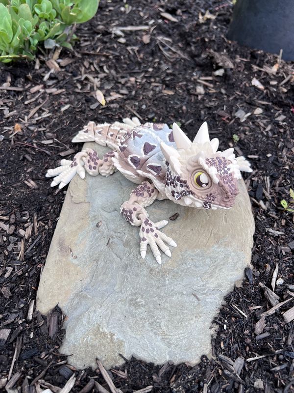 Horned Lizard-Articulating