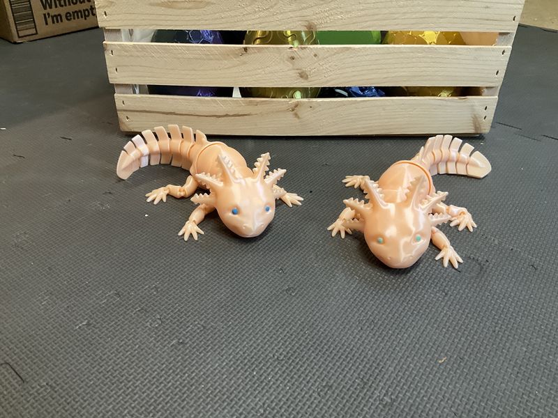 Axolotl large