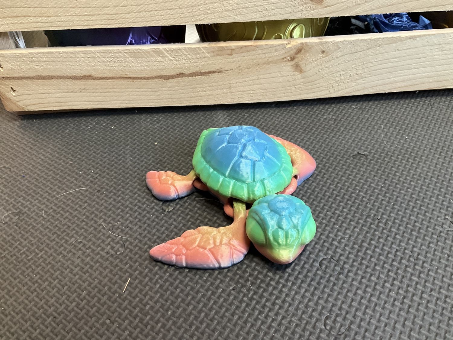 Sea turtles, Color Options: Rainbow