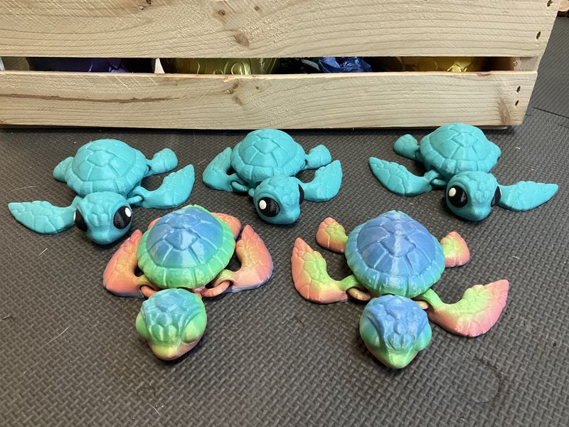 Sea turtles