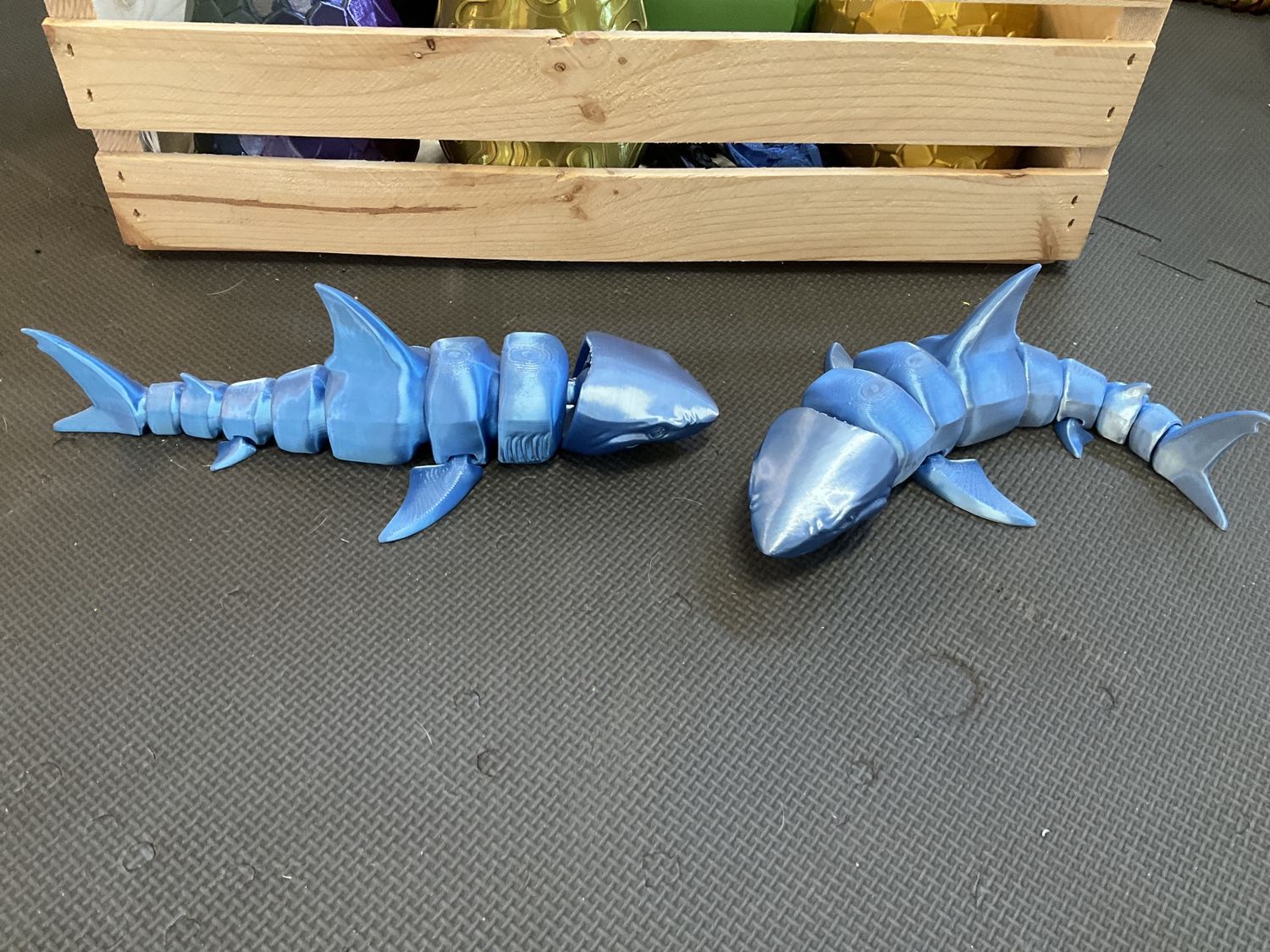 Great white shark