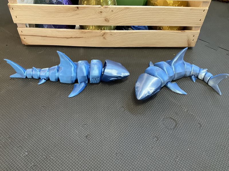 Great white shark