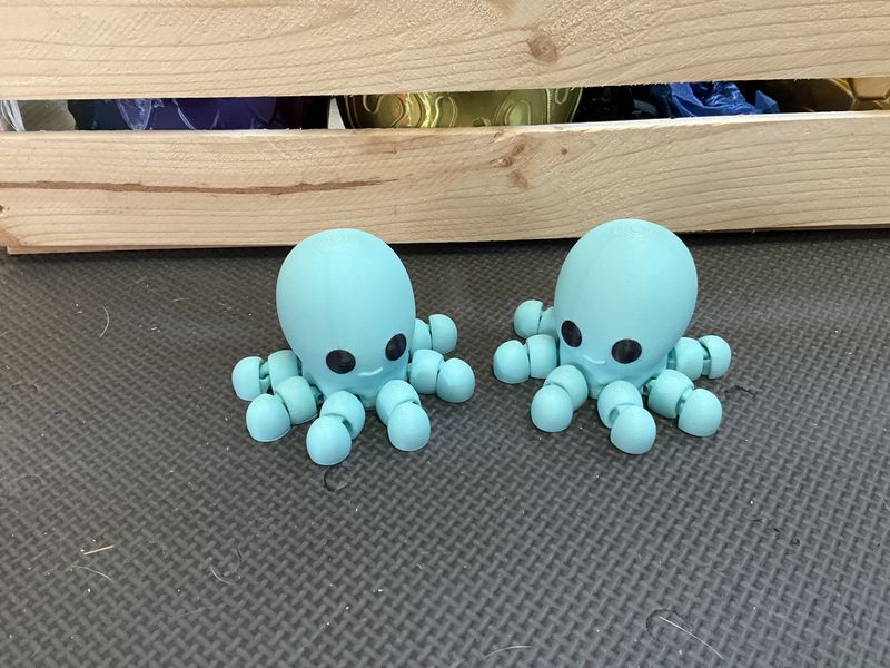 Octopus small