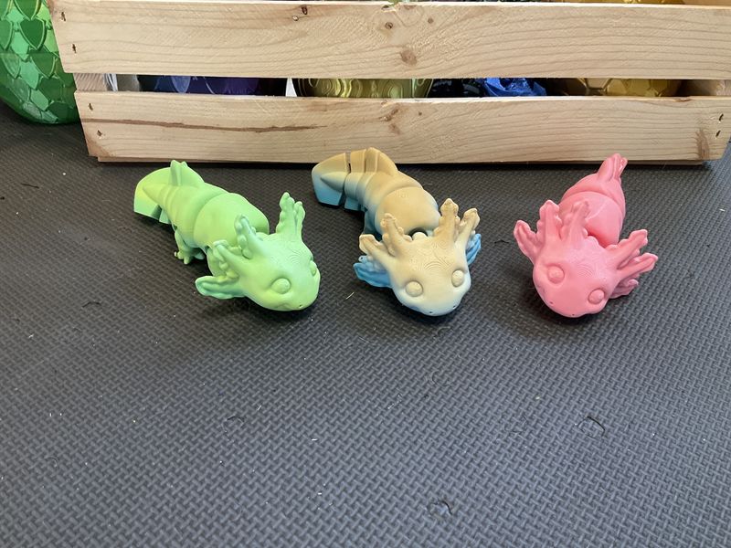 Axolotl medium