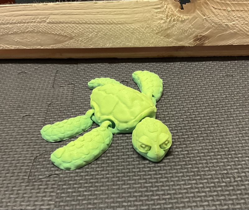 Sea Turtle
