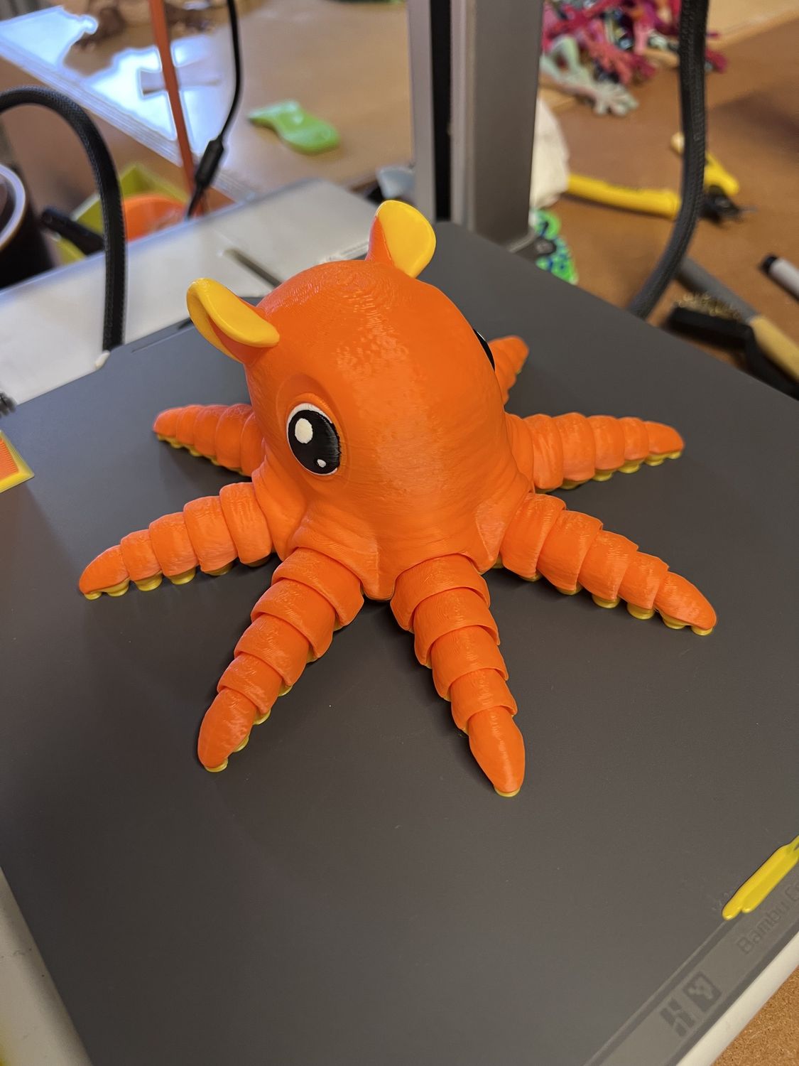 Flapjack octopus