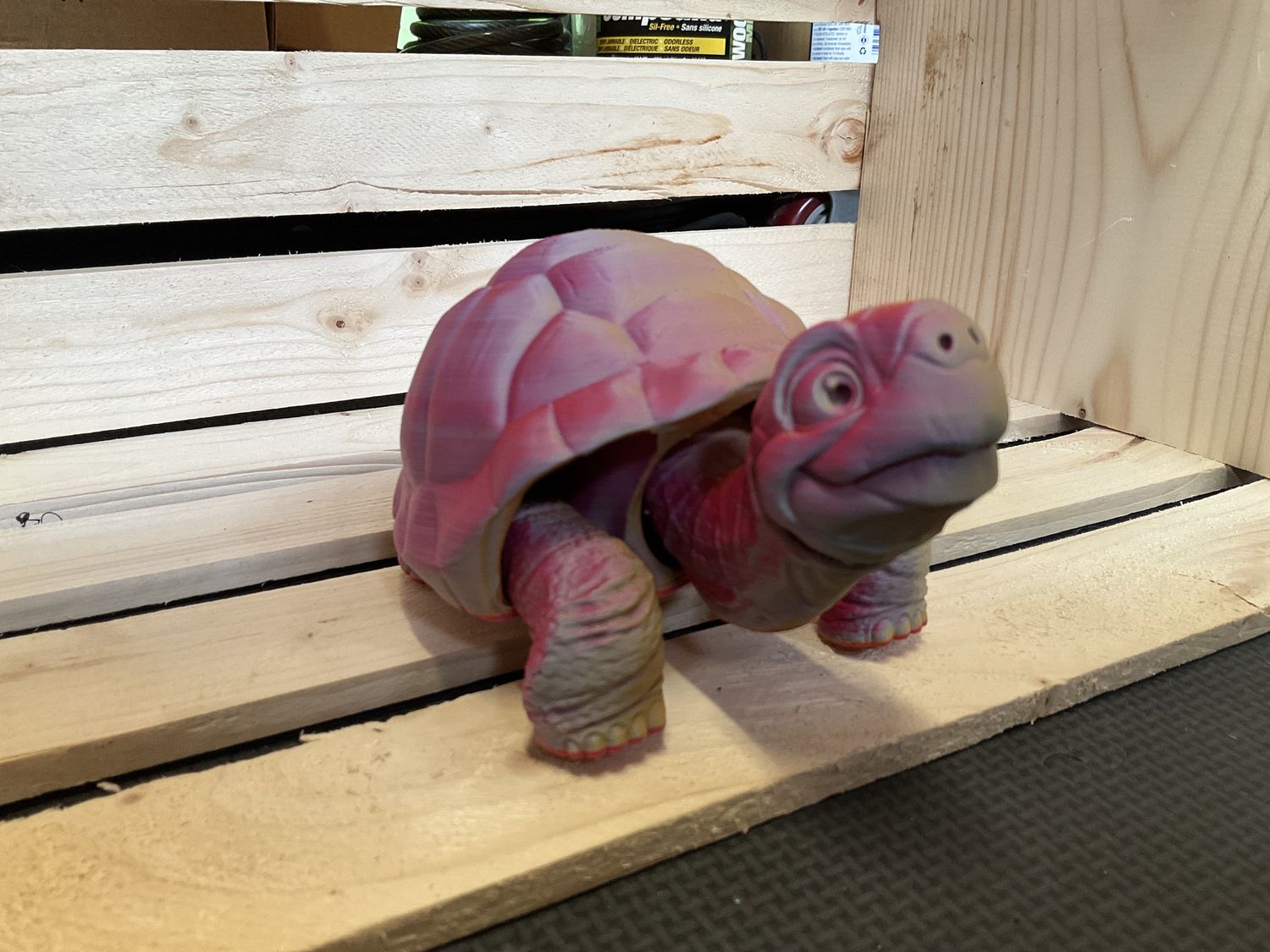 Tortoise