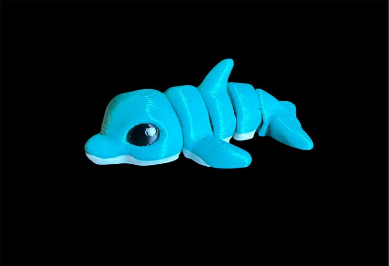 Dolphin
