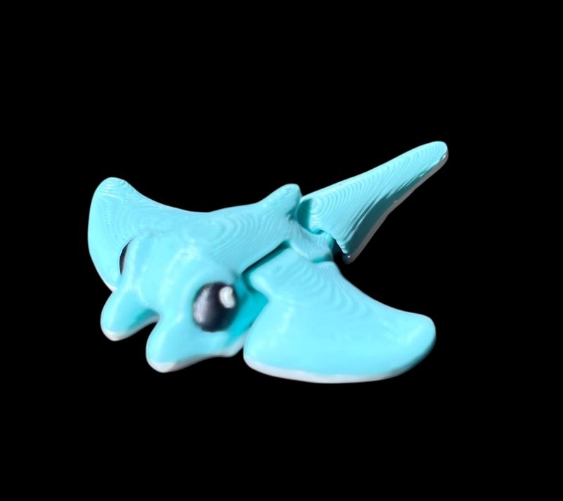 Manta Ray wiglet