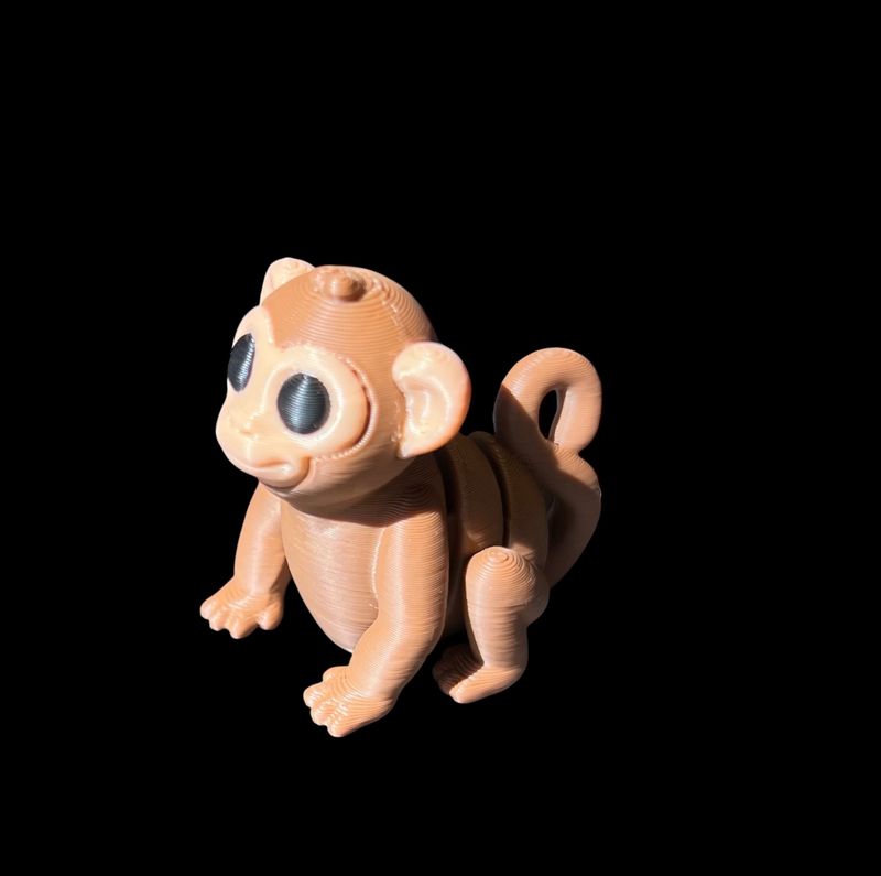 Baby Monkey