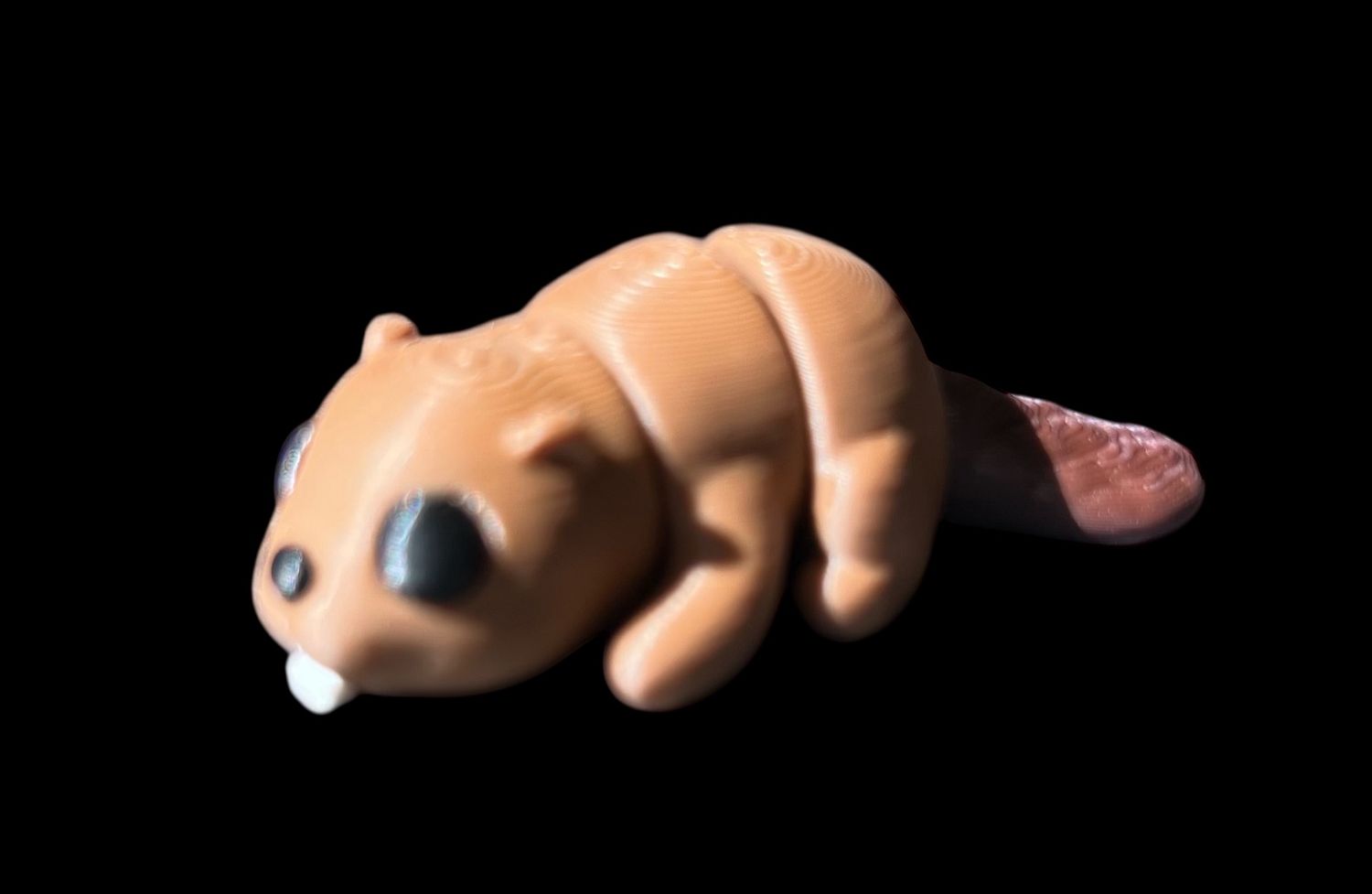 Baby Beaver