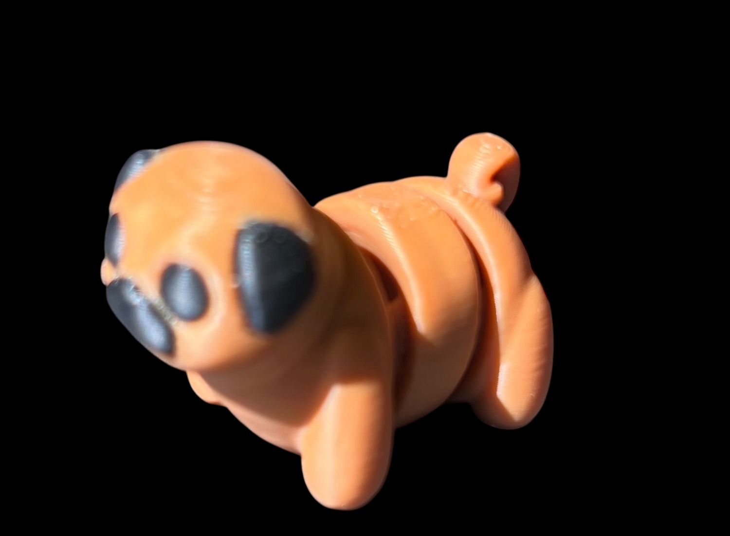Baby Pug