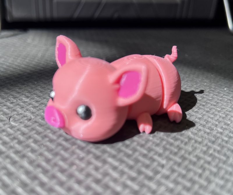 Mini Pig