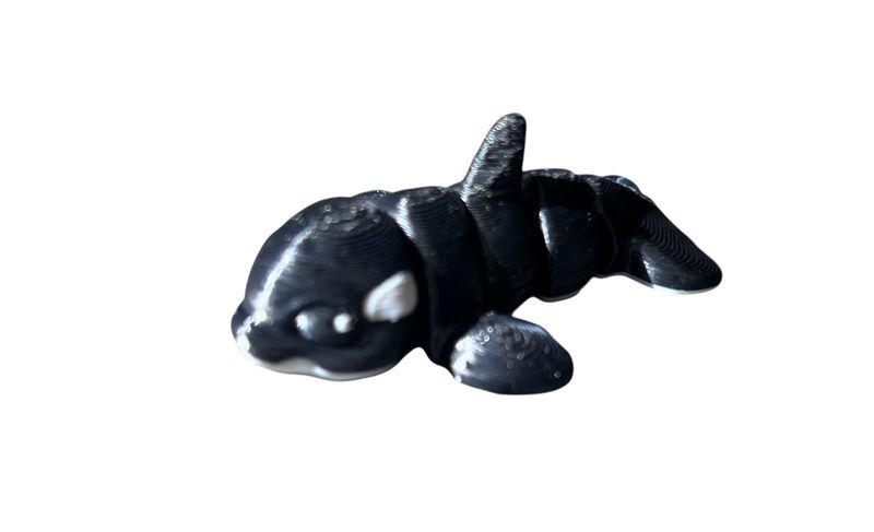 Orca wiglet
