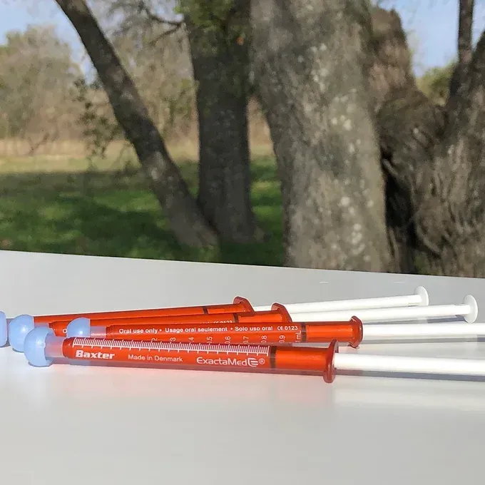 Prednisolone Transdermal Syringe