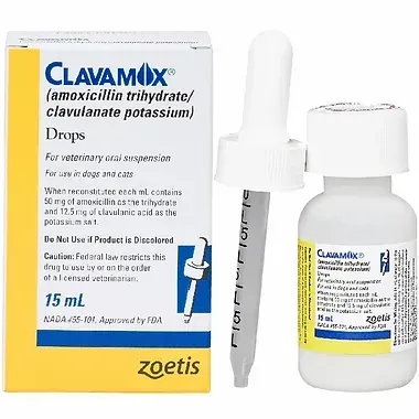 Amoxicillin / Clavulanate Suspension