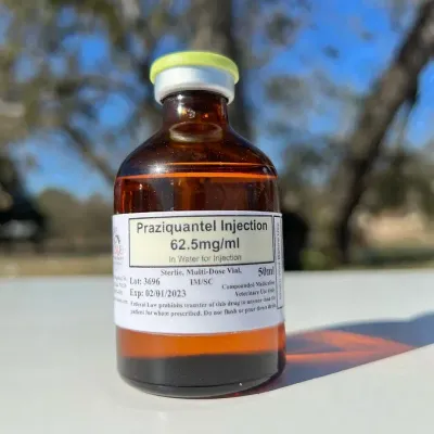 Praziquantel Injectable