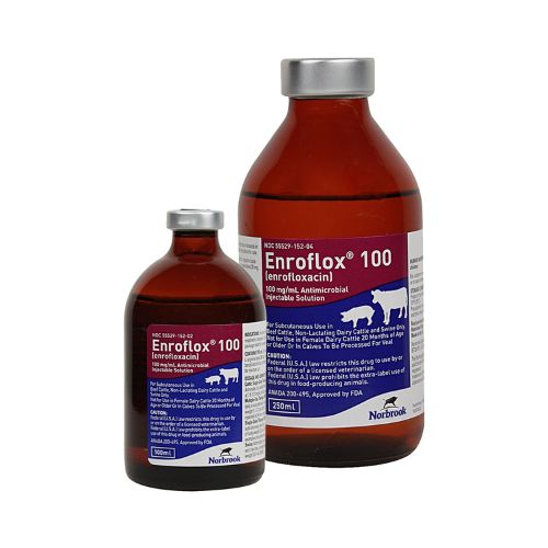 EnroFlox 100 Injectable