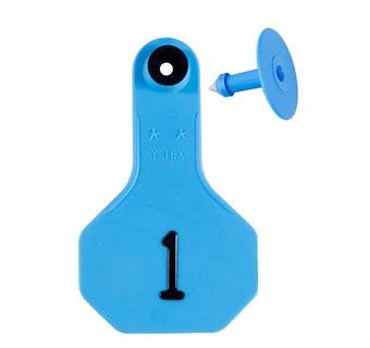 EAR TAGS