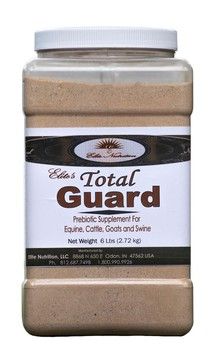 TOTAL GUARD