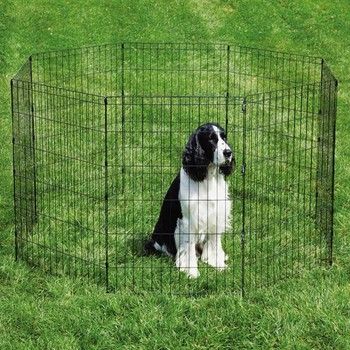 EXERCISE PEN