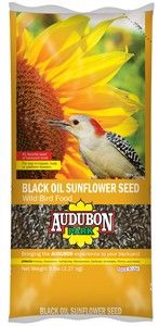 5 LB BLACK OIL SUNFLOWER SEED