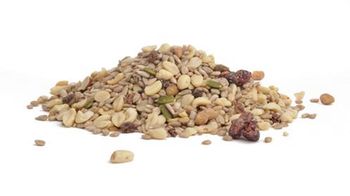 WOODPECKER FAVORITE BIRD FEED