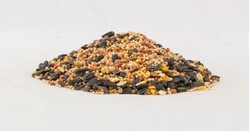 SIMPLE SONG BIRD FEED
