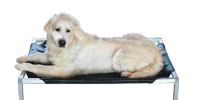 ALUM PET BED