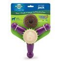 BUSY BUDDY JACK