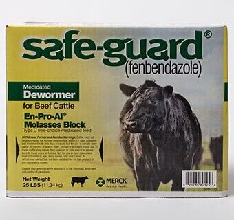SAFE-GUARD BLOCK 25 LBS
