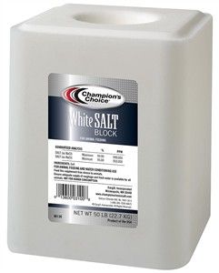 SALT BLOCK