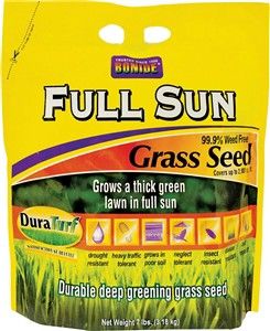 FULL SUN GRASS SEED