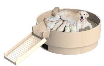 WHELPING DEN