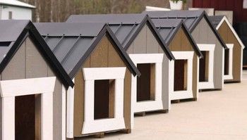 DOG HOUSE
