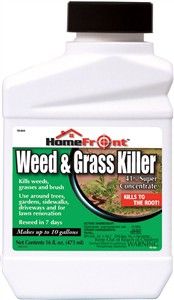 WEED & GRASS KILLER